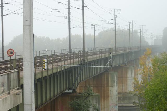 bridge roar